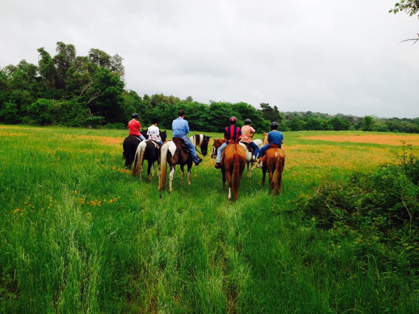 Enjoy a nice leisurely horseback ride through PermaVista Ranch.