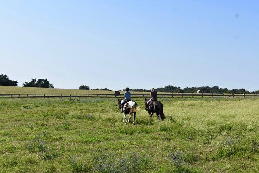 Horseback riding