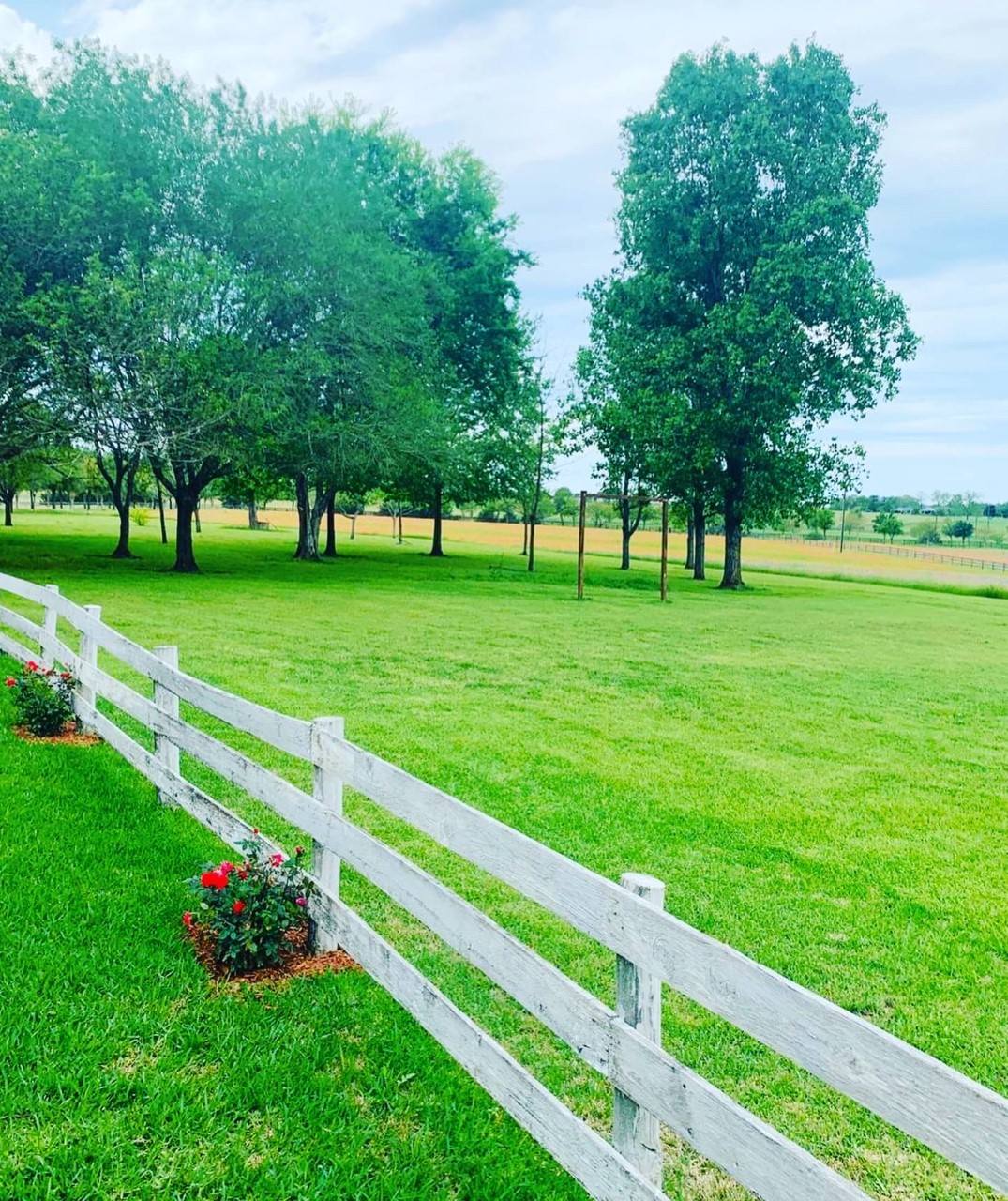 Perfect spot for your outdoor ceremony with the arch