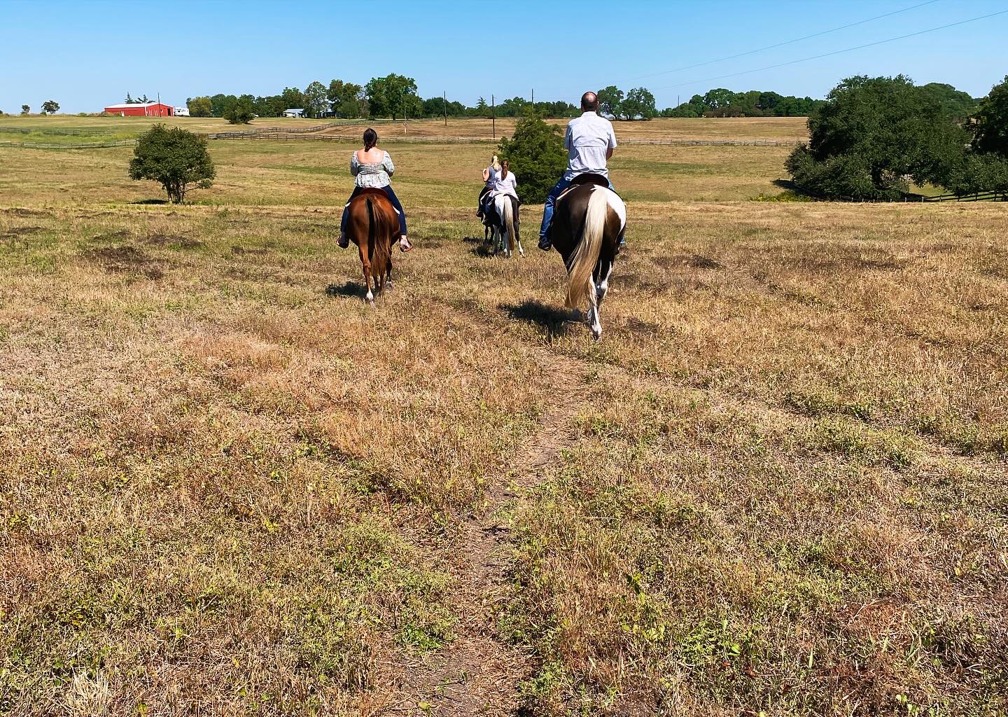 Enjoy a Texan experience riding horse out on the pastures